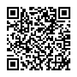 因为当时她可是在电视上看到了关于林烽的采访二维码生成