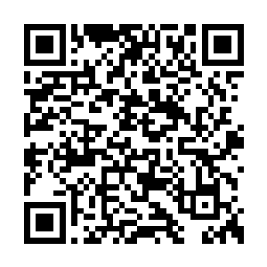 因为彩蝶跟禾星是云起舞指定掌管青玉灵城的人二维码生成