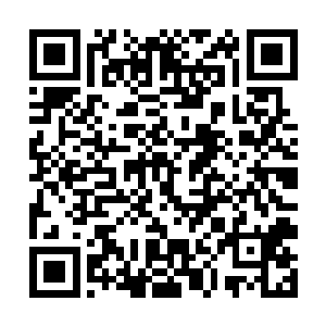 因为徐莹阿姨的肾脏移植手术前期工作已经准备妥当二维码生成