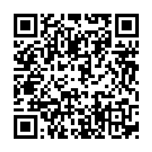 因为意外得到二十枚标准晶核的惊喜也一扫而空二维码生成