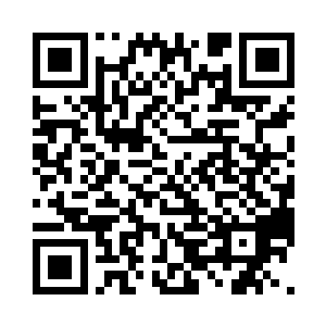 因为我们连仇人的身份都还没有弄清楚二维码生成