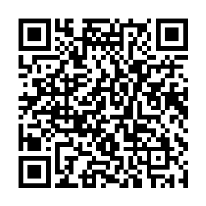 因为我和紫雪姐姐一直都在苦恼怎么救出我们的亲人二维码生成