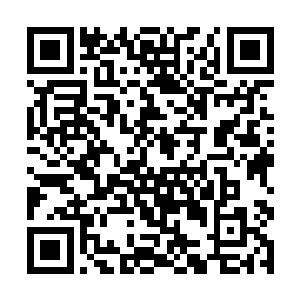 因为我很晚才跟他们说我不打算演灰姑娘这个角色了二维码生成