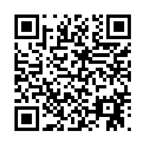 因为我的生命已经维持不了那么久了二维码生成