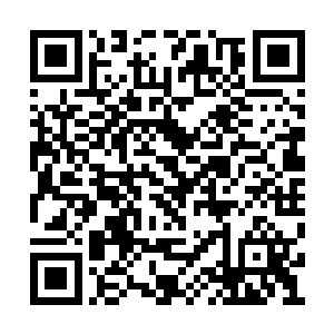 因为我看到过太多连改变修正机会都没有的场面二维码生成