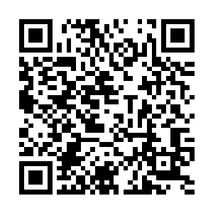 因为我知道这劫雷绝不会来至六道盘或者其他宝物二维码生成