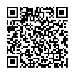 因为我需要让颜料彻底的进入到你的每一条血管当中二维码生成