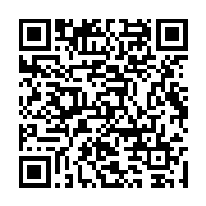因为按理来说此时道心应当是传来不安的感觉才对二维码生成