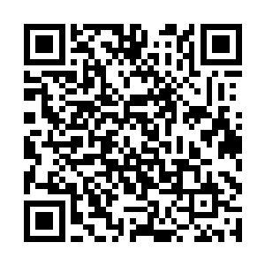 因为据传炼制渡厄金丹的药方早在十万年前就失传了二维码生成