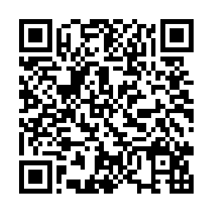 因为方睿每次都会特别把那碟小菜放在洛天子的面前二维码生成