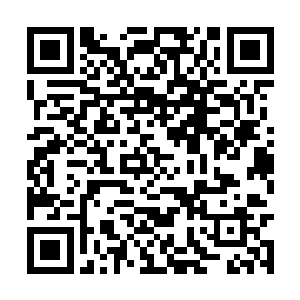 因为无论品牌成熟度搭配专业度地震应急包的品质二维码生成