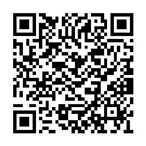 因为普通的慕斯蛋糕中间怎么会有奇怪的东西呢二维码生成