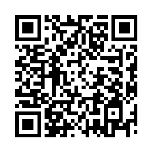 因为暂时没有足够的人手搭建那么多的鸡圈二维码生成