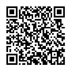 因为本身发生在修四宇宙中的那些故事就实在太丰富二维码生成