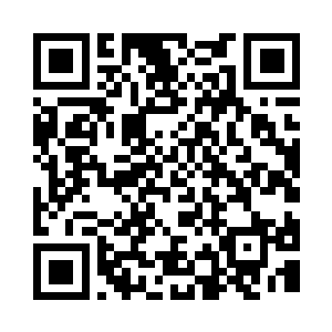 因为杨洛的案子已经不是他们能办的了二维码生成