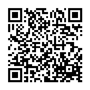 因为林锐身上的穿着是联调局sat特殊武装战术部队的服装二维码生成