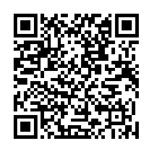 因为枪哥已经被米成光院长安排到了一个比较保险的地方二维码生成