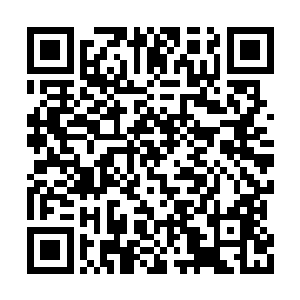 因为某个电视台买到相关版权却从不直播的关系二维码生成
