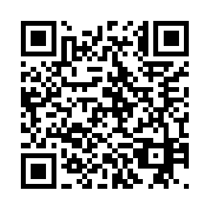 因为桑易手中提着的夜狼幼崽的尸体二维码生成