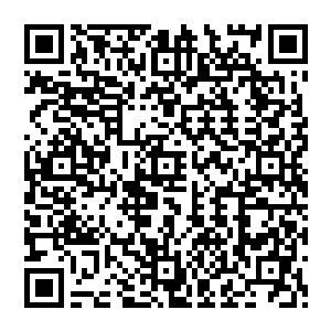 因为梅尔发财大计最核心的部分就是甲板上这个肥嘟嘟的豹海豹能够一直呆在自己的波纹号上二维码生成