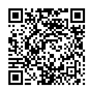因为楚天中的在那些个修炼处只是走马观花的快速过了一遍二维码生成
