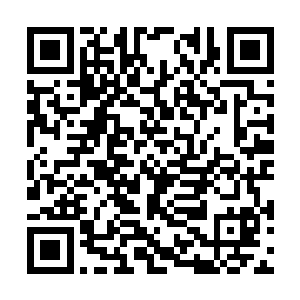 因为此时他们四人被一群身着草黄色袍子的人围住二维码生成