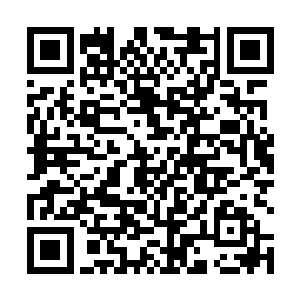 因为此时大殿之内所有人的目光都集中在许紫烟的身上二维码生成