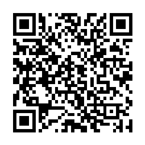 因为段沫沫的实战能力在整个军校里都是排得上好的二维码生成