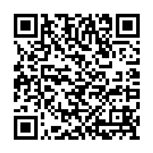 因为气愤而致使他手上的拳头青筋凸起劲歌香江二维码生成