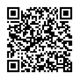 因为汉娜那个死丫头要到晚上的时候才会偷偷摸摸的过来二维码生成
