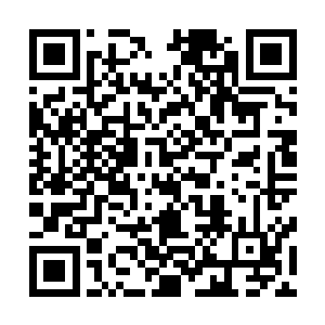 因为汪逹朋已经表明立场他只想让汪大锤如普通人一样生活二维码生成