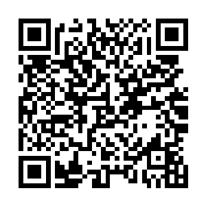 因为法兰西政府知道您的公司正在进行一次重要的商业推广二维码生成