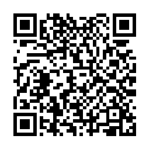 因为海外的那些宗门都占据了不少灵气充裕的岛屿二维码生成