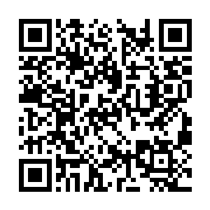 因为现在龙傲天几乎每时每刻都在不断的变换方位二维码生成