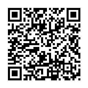 因为现场每一张脸孔都因为过度的兴奋而扭曲了二维码生成