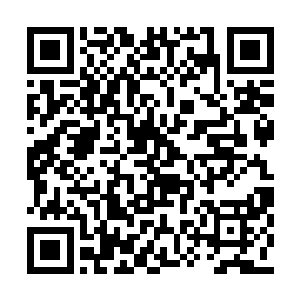 因为田林的战斗本能是从生与死之间感悟出来的二维码生成