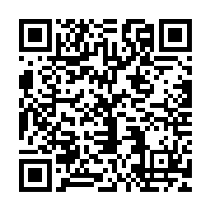 因为画面中突然从之前的热带海岛媒体大厅那草棚顶的热烈气氛二维码生成