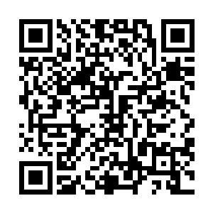 因为白婉的血完全不是他记忆中那股让他无法抗拒的甜香二维码生成