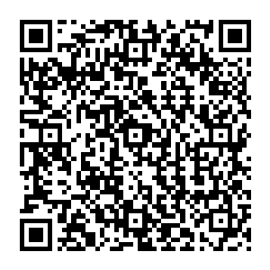 因为直到现在将军行仍然不会相信方炎能够阻挡开足马力全力行驶的将家这艘航空母舰的碾压二维码生成