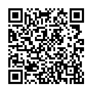 因为碎掉的玉简是这里最中间最豪华的一个位置二维码生成