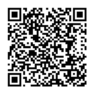 因为秦方已经靠得太近了……几乎两个人之间的距离连一米都不到二维码生成