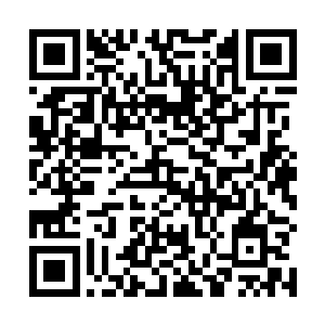 因为符元界的金色符球被我的主人收入了金鼎符箓之中二维码生成