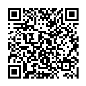 因为老祖们的决定对全真教而言就是古代皇帝的圣旨二维码生成