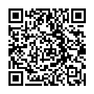 因为老马特有点儿受不了其余几盘子菜里油放的太多二维码生成