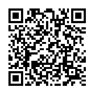 因为胡方野简简单单的一句话就打消了在场所有人最大的顾虑二维码生成