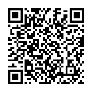 因为艾希的月亮绝对不会长出跨越半个星球的裂齿大嘴二维码生成