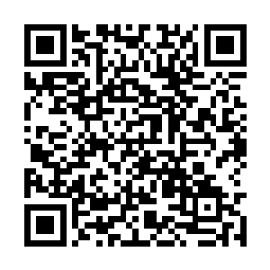 因为荣光赢基本上都快把他的球队组建完毕了……二维码生成