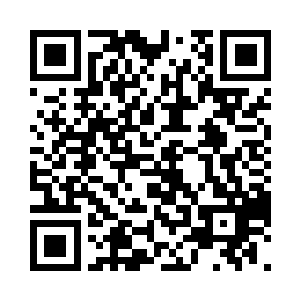 因为菜已经被无名老者全倒进肚子里了二维码生成