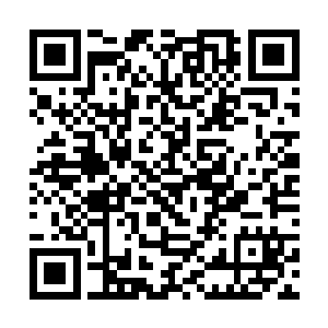 因为虽然说每一次火山喷发都会带出不少的天材地宝二维码生成