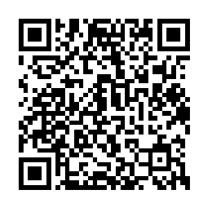 因为血屠至尊那时不知道什么原因显得十分虚弱二维码生成